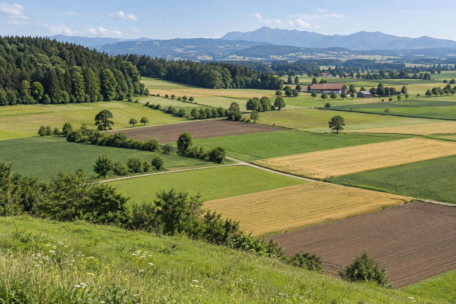 Grenzen zwischen landwirtschaftlichen Flächen in Österreich
